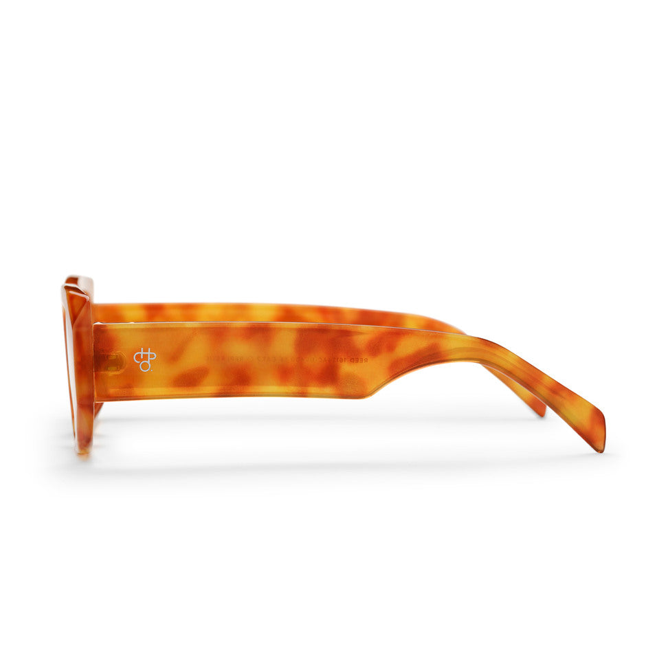 Reed - Gafas de sol CHPO Brand