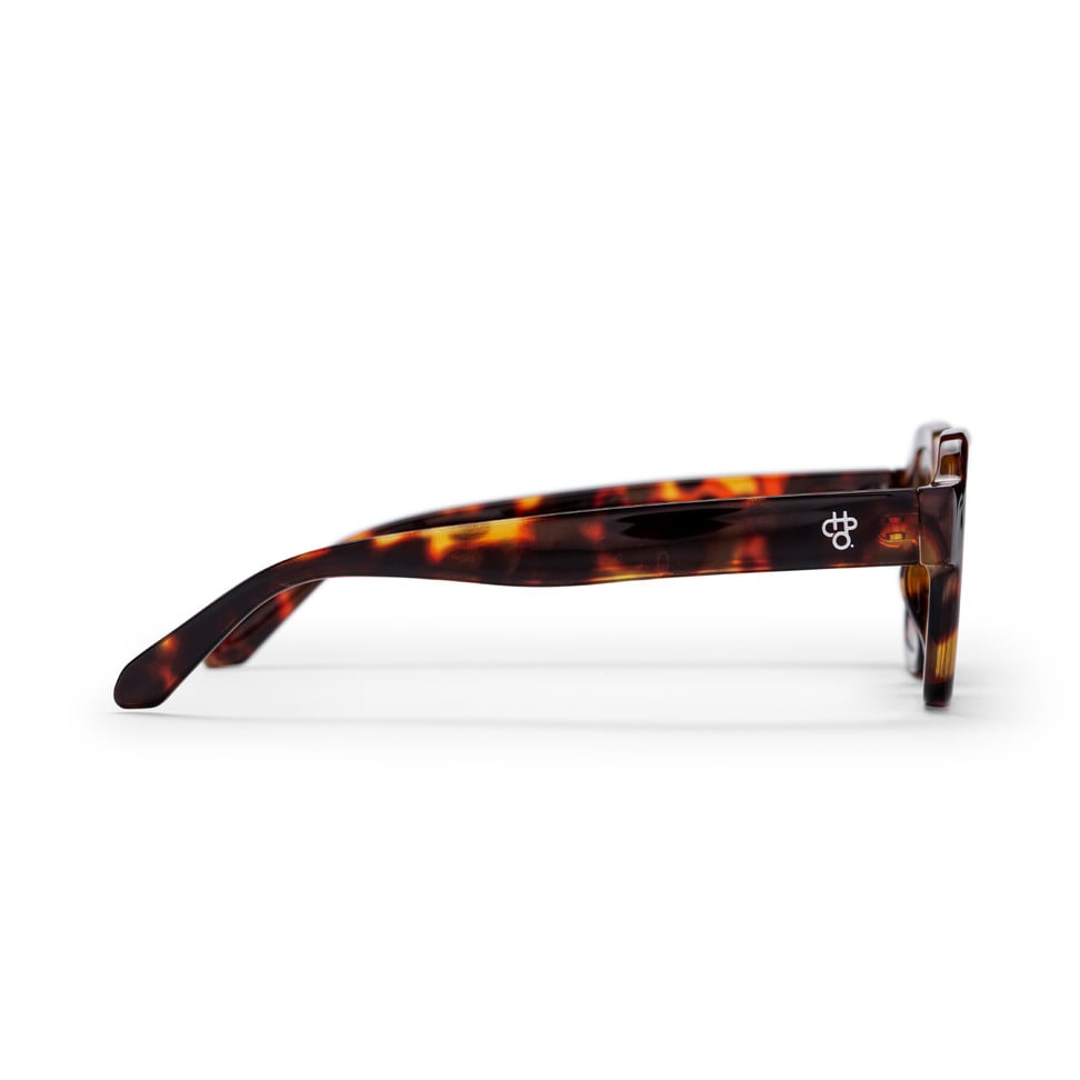 The AK - Gafas de sol CHPO Brand